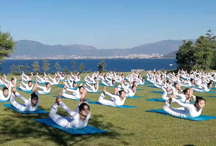 8688体育